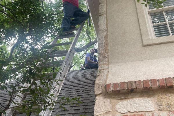 IMG-20241119-WA0015-1732042108