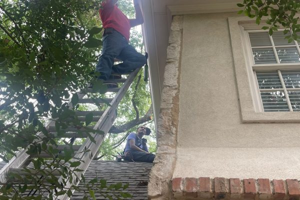 IMG-20241119-WA0018-1732042096