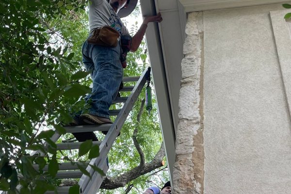 IMG-20241119-WA0022-1732042096